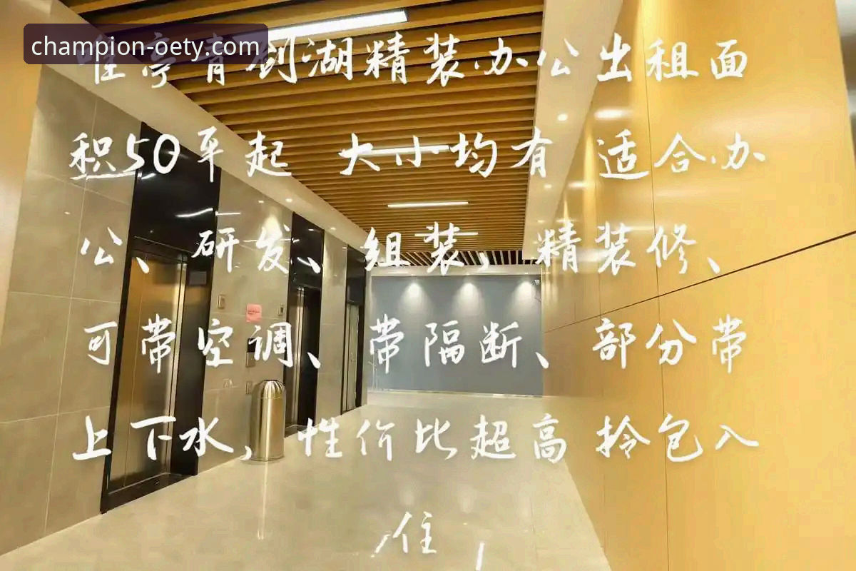 从新手到达人：欧亿体育最新赛事评测使用心得分享